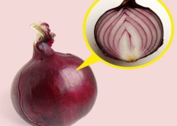 Cách dùng từng loại hành để món ăn ngon, bổ dưỡng nhất