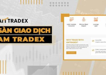 Tổng quan sàn giao dịch AM Tradex và nền tảng XOH Trader