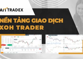Tìm kiếm thành công trên thị trường ngoại hối cùng sàn giao dịch AM Tradex