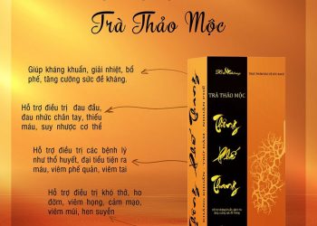 Thảo Dược Bà Thông – Khám phá sức mạnh tự nhiên với Trà Thảo Mộc Thông Phế Thang