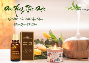 Dầu xông Thảo Dược Bà Thông – Tinh túy thiên nhiên cho sức khỏe và sự thư giãn