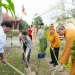 Tập Đoàn Themphaco Hưởng Ứng “Tết Trồng Cây” Đời Đời Nhớ Ơn Bác Hồ