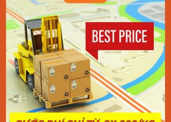 HT Global Logistics: Định Hình Tương Lai Vận Chuyển và Fulfillment Quốc Tế