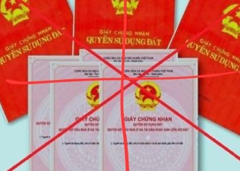 Nhắn tìm chị Phí Bá Nguyệt Anh (Hương Ngải, Thạch Thất, Hà Nội)