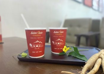 Hồi Sinh “Đại Việt Đệ Nhất Danh Sâm” – Bảo Tồn Di Sản, Khơi Dậy Tiềm Năng