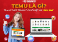 TEMU – THỜI ĐIỂM VÀNG TĂNG TRƯỞNG TRONG TMĐT