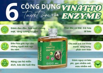 Công Ty Enzyme “Ra Mắt Sản Phẩm Vinatoo Enzyme” – An Toàn Cho Sức Khỏe
