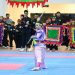 Trung Tâm Văn Hoá – Thể Thao Thị Xã Chơn Thành – Câu Lạc Bộ Võ Cổ Truyền đã tổ chức buổi liên hoan “Võ Thuật Cổ Truyền”