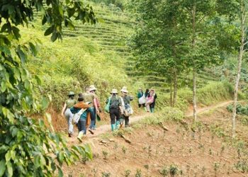 10ha “Rừng An Lành” đánh dấu hành trình 10 năm của Cỏ Mềm