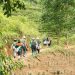 10ha “Rừng An Lành” đánh dấu hành trình 10 năm của Cỏ Mềm