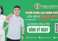 Việc Thiên Trường – nơi sự uy tín, tận tâm và đặt lợi ích của người lao động lên hàng đầu, tạo nên cơ hội việc làm ổn định, phát triển bền vững