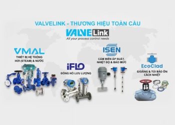10 câu hỏi thường gặp nhất về cấu tạo và ứng dụng của Van cầu, Van cầu gang