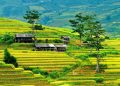 Nghĩa Lộ và cơ hội đón đầu làn sóng đầu tư nghỉ dưỡng vùng cao